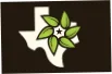 Texas Superfood Coupon Codes