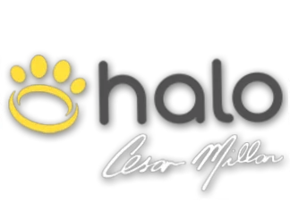 Halo Collar Coupon Codes