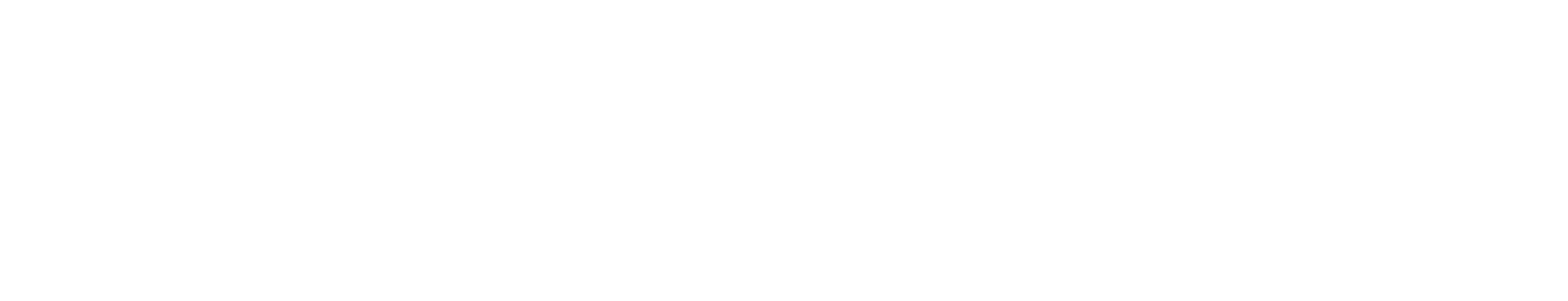 PetSnowy Coupon Codes