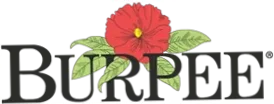 Burpee Coupon Codes