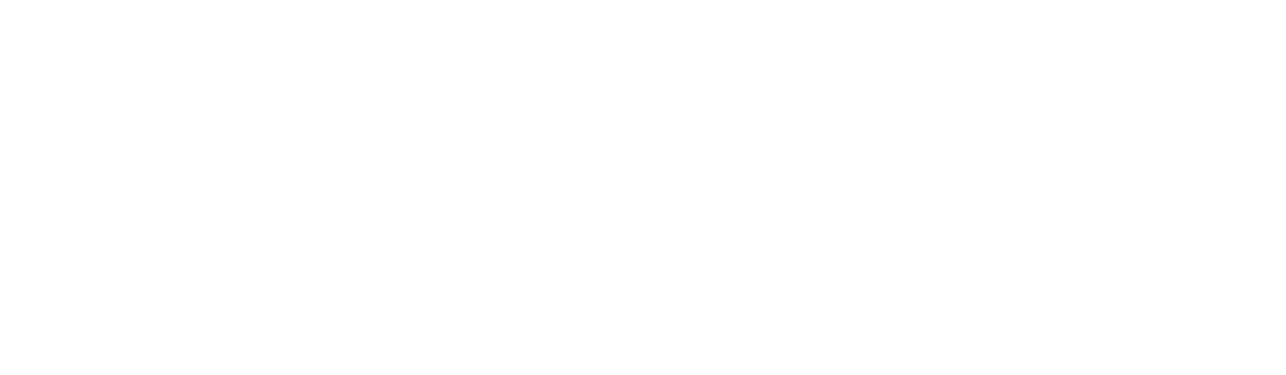 Lanza Coupon Codes