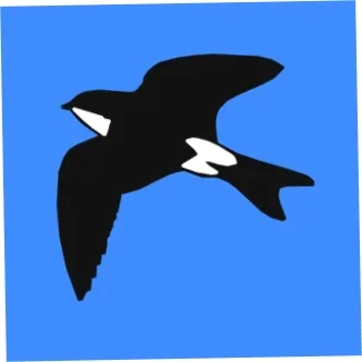 Martinic Coupon Codes